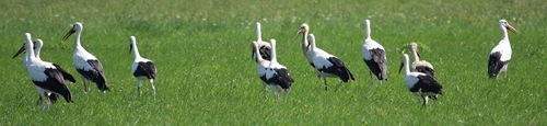 IMG_3945
